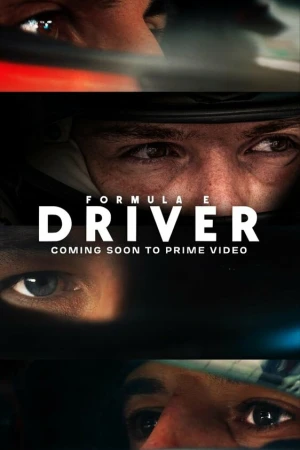 Формула-E: Пилот 2 сезон