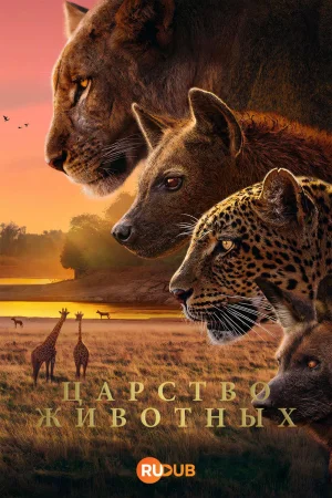 Царство животных 1 сезон